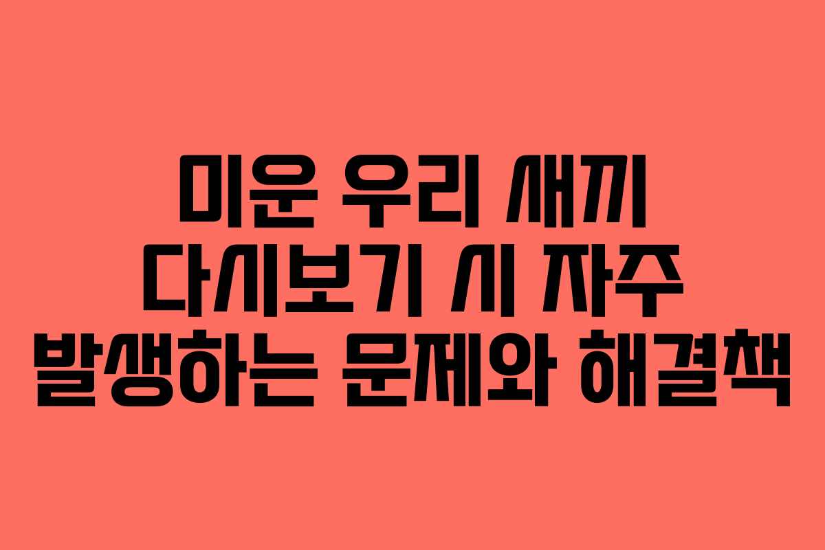 미운-우리-새끼-다시보기-시-자주-발생하는-문제와-해결책