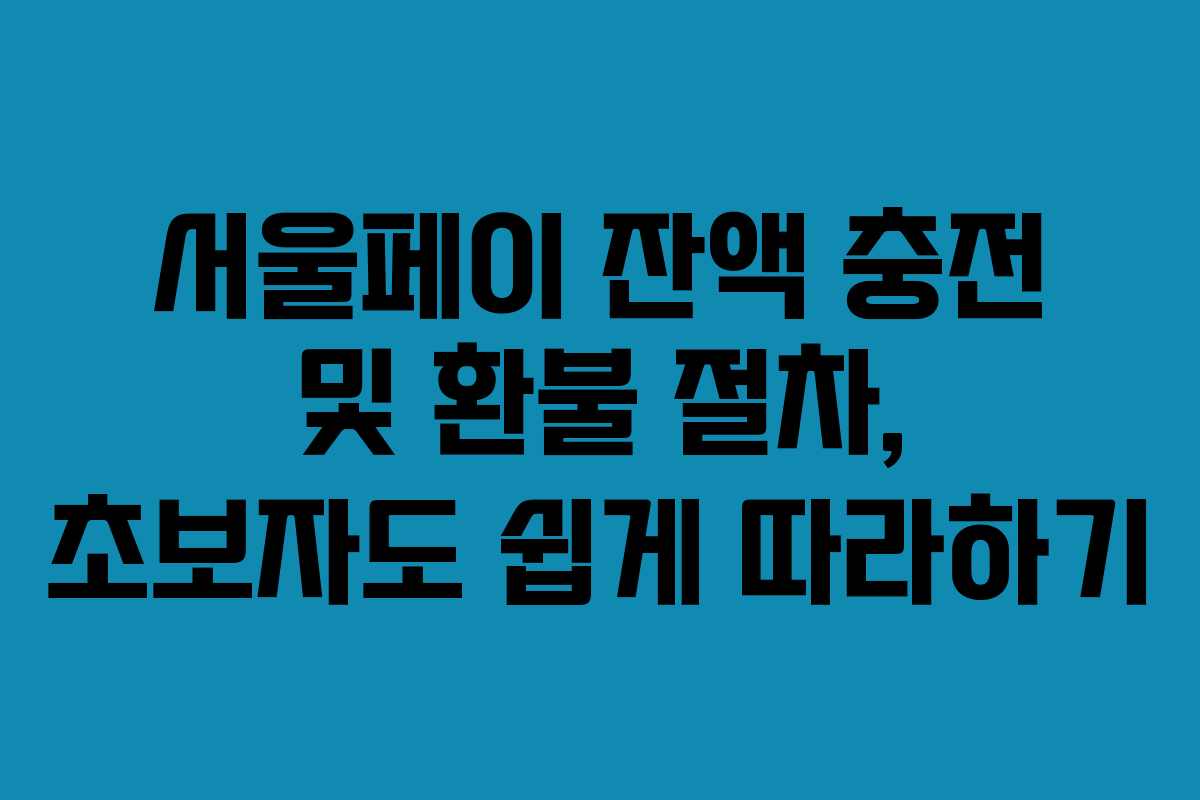 서울페이 잔액 충전 및 환불 절차, 초보자도 쉽게 따라하기