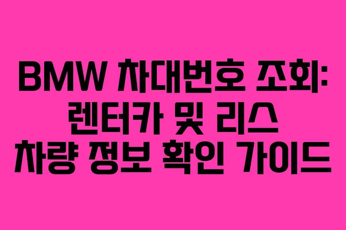 BMW 차대번호 조회: 렌터카 및 리스 차량 정보 확인 가이드