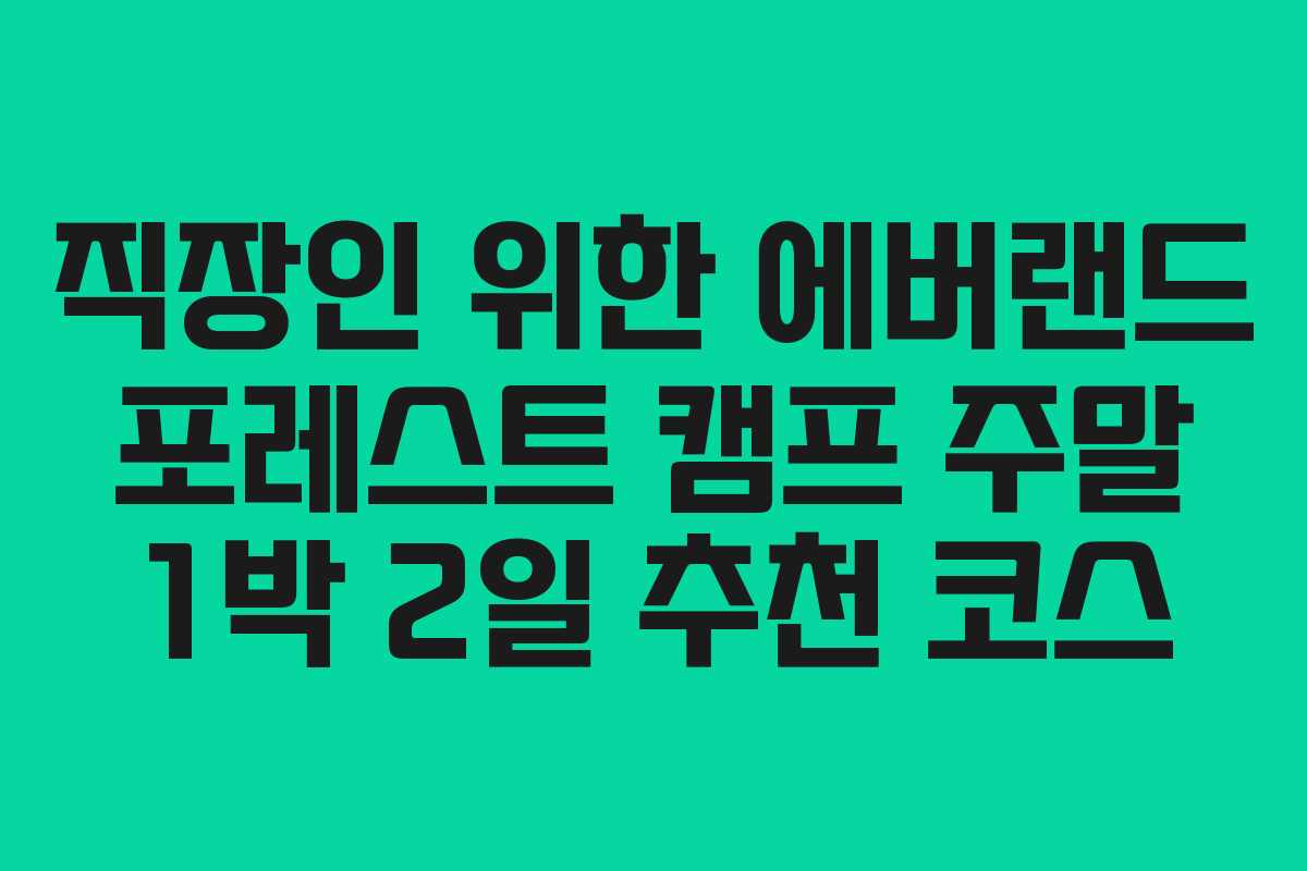 직장인 위한 에버랜드 포레스트 캠프 주말 1박 2일 추천 코스