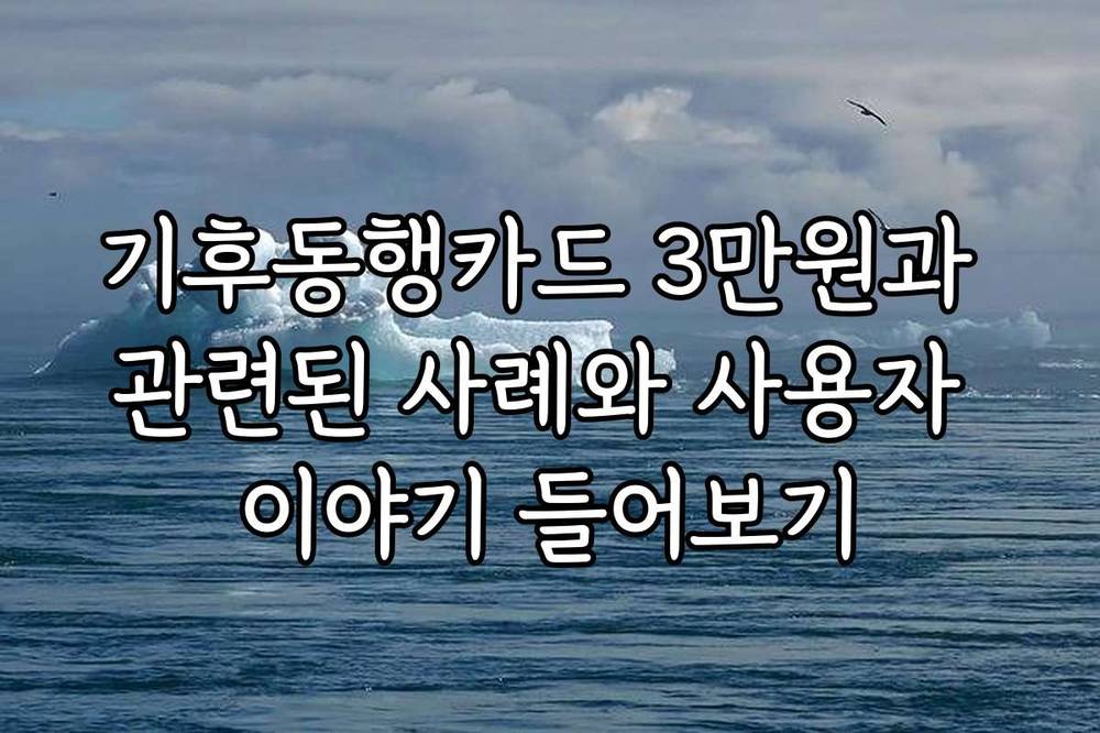 기후동행카드 3만원과 관련된 사례와 사용자 이야기 들어보기