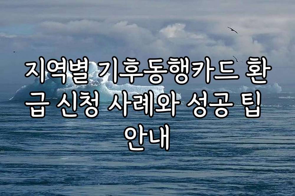 지역별 기후동행카드 환급 신청 사례와 성공 팁 안내