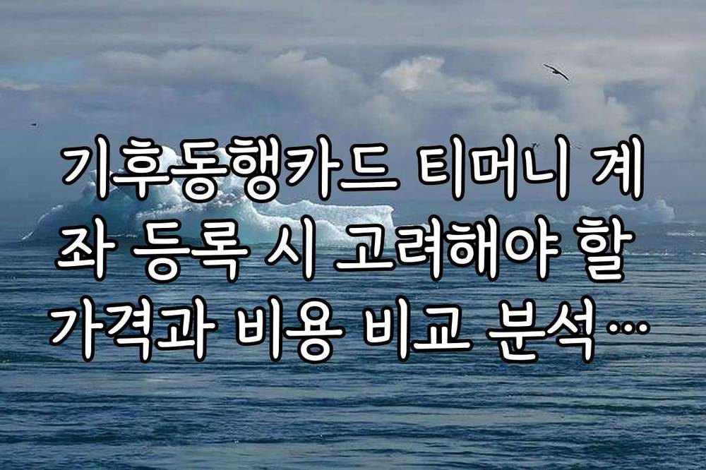 기후동행카드 티머니 계좌 등록 시 고려해야 할 가격과 비용 비교 분석을 제공합니다