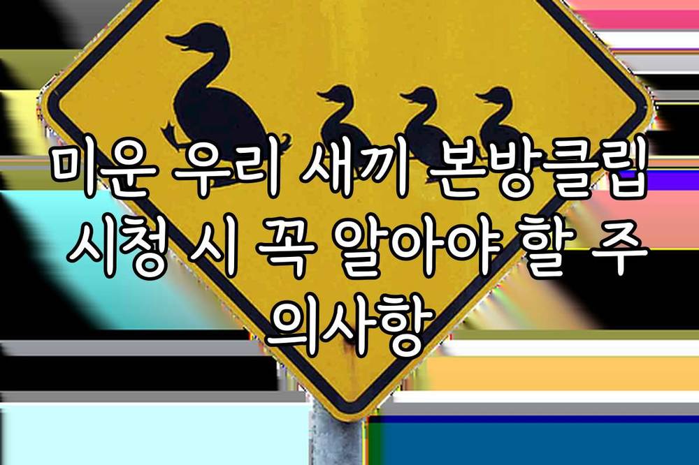 미운 우리 새끼 본방클립 시청 시 꼭 알아야 할 주의사항