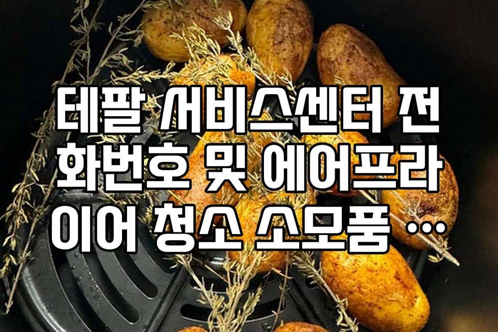 테팔 서비스센터 전화번호 및 에어프라이어 청소 소모품 구입 문의법