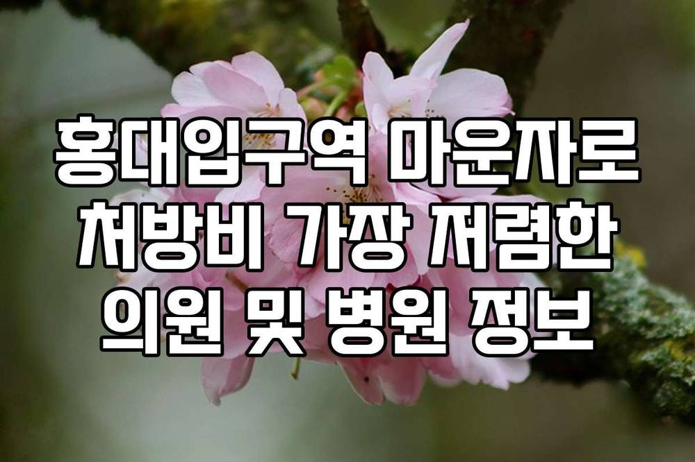 홍대입구역 마운자로 처방비 가장 저렴한 의원 및 병원 정보