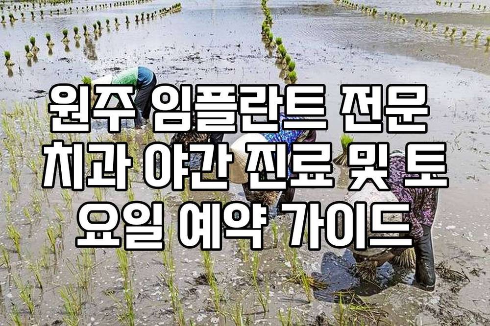 원주 임플란트 전문 치과 야간 진료 및 토요일 예약 가이드