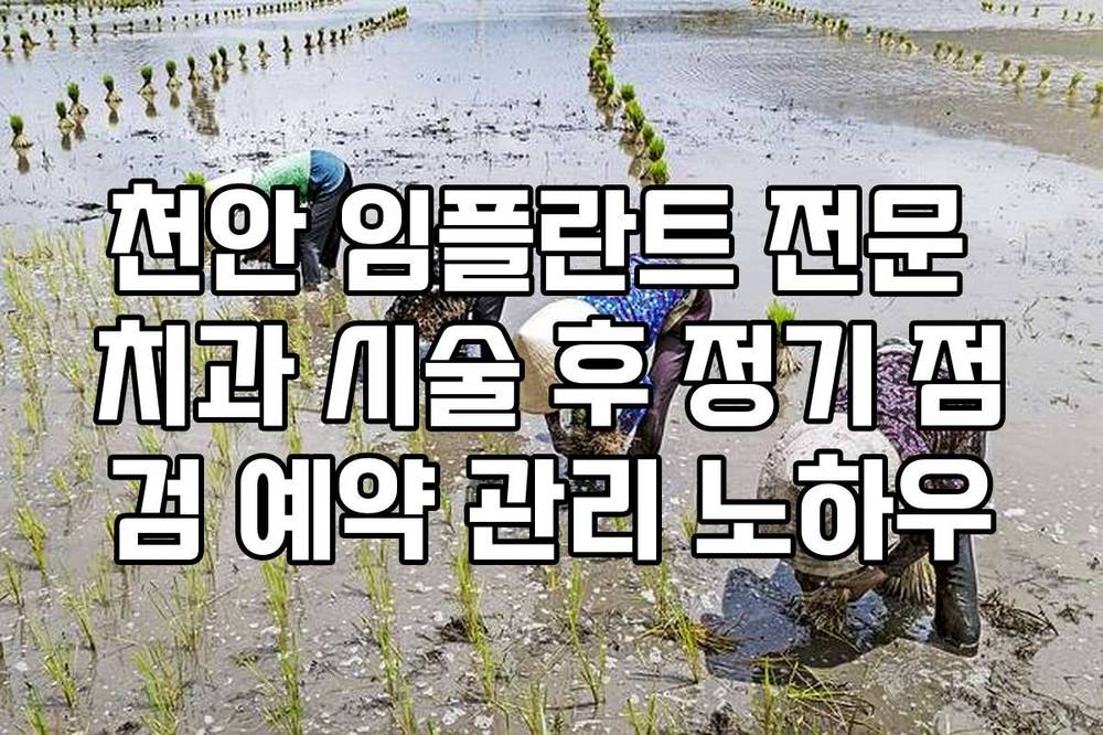 천안 임플란트 전문 치과 시술 후 정기 점검 예약 관리 노하우