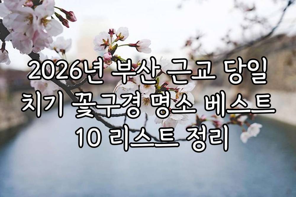 2026년 부산 근교 당일치기 꽃구경 명소 베스트 10 리스트 정리