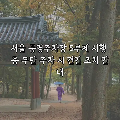 서울 공영주차장 5부제 시행 중 무단 주차 시 견인 조치 안내