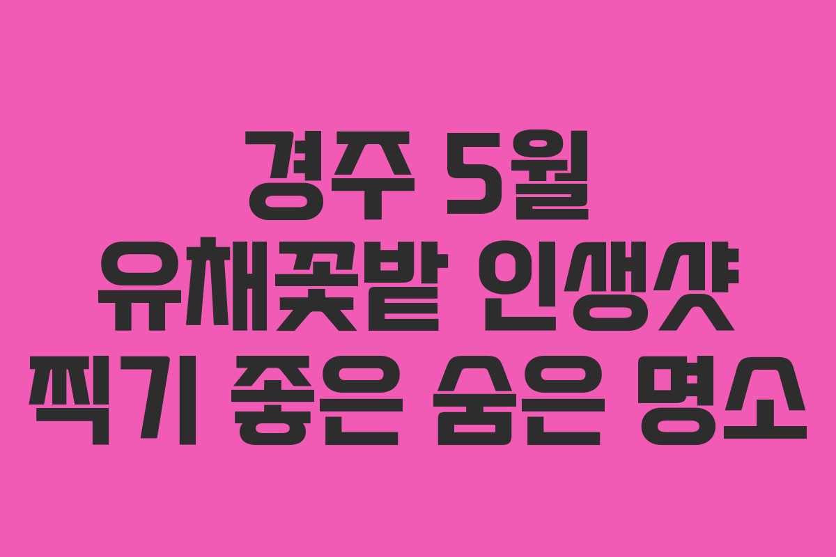 경주-5월-유채꽃밭-인생샷-찍기-좋은-숨은-명소