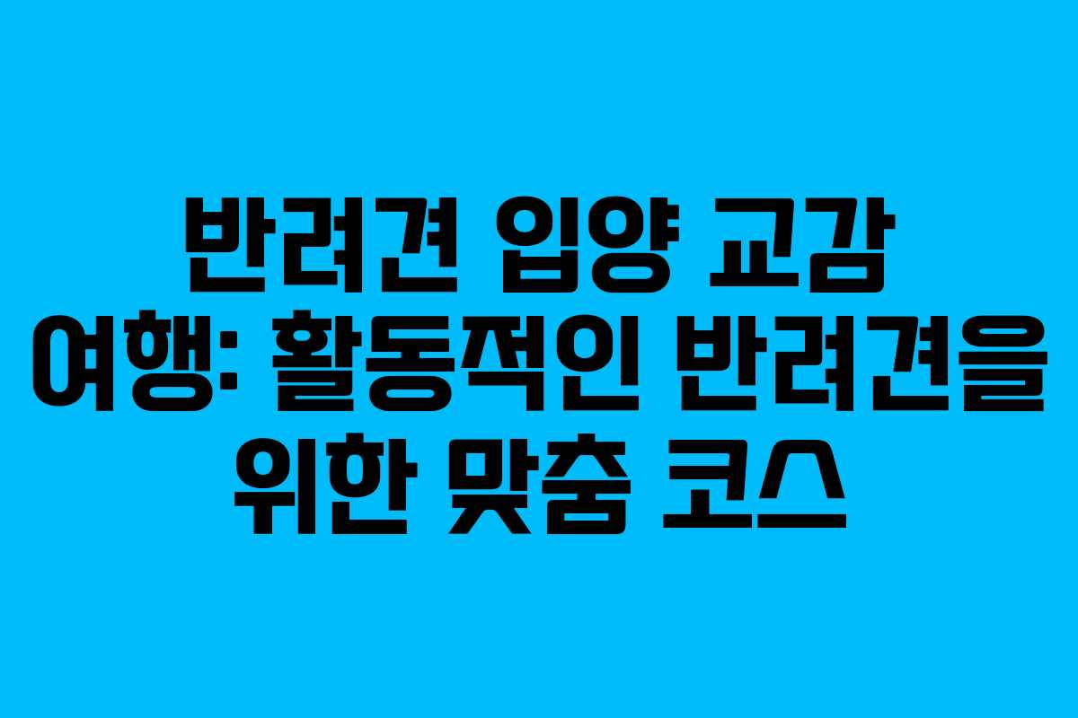 반려견-입양-교감-여행-활동적인-반려견을-위한-맞춤-코스