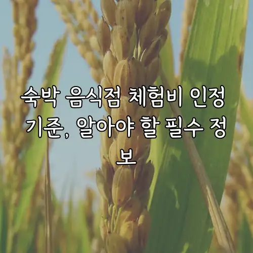 숙박 음식점 체험비 인정 기준, 알아야 할 필수 정보