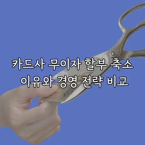 카드사 무이자 할부 축소 이유와 경영 전략 비교