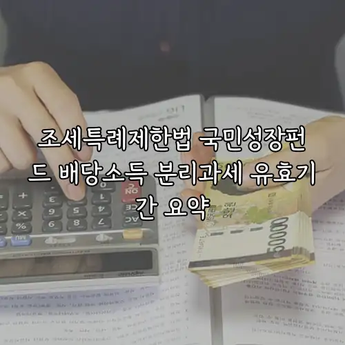 조세특례제한법 국민성장펀드 배당소득 분리과세 유효기간 요약