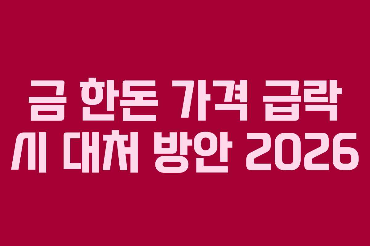 금-한돈-가격-급락-시-대처-방안-2026