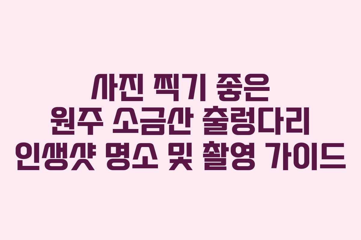 사진-찍기-좋은-원주-소금산-출렁다리-인생샷-명소-및-촬영-가이드