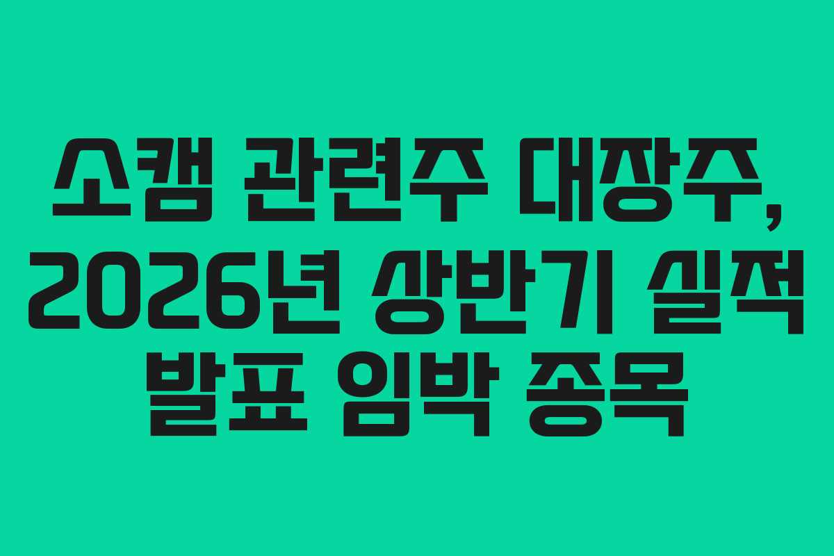 소캠-관련주-대장주,-2026년-상반기-실적-발표-임박-종목